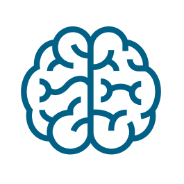 Image of Brain Icon