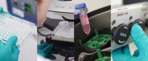 Image of radioligant, radiolabeling services