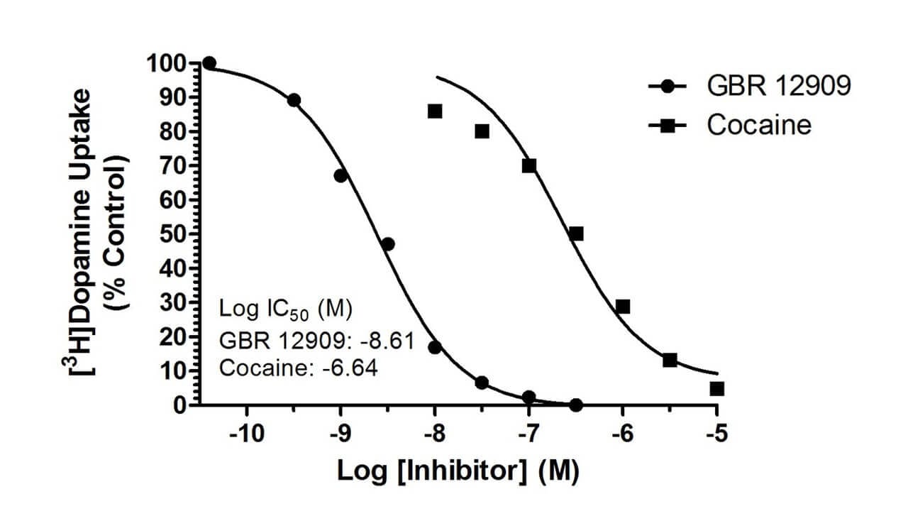 Cellular Uptake and Release Graphic 1 cellular uptake and release graph