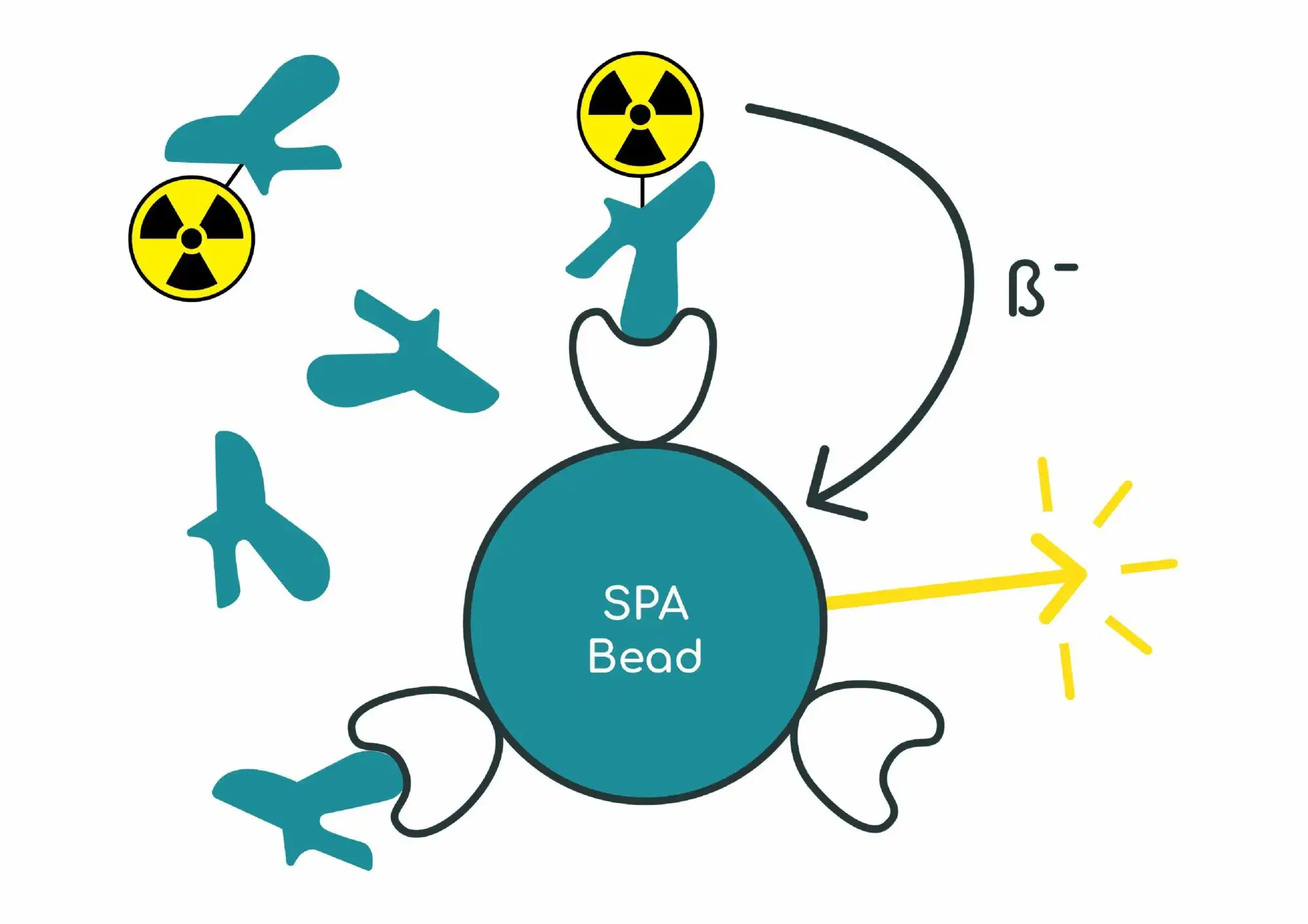 Gifford-Assays-Vector-SPA-BEAD-1 Graphic of Scintillation Proximity Assay