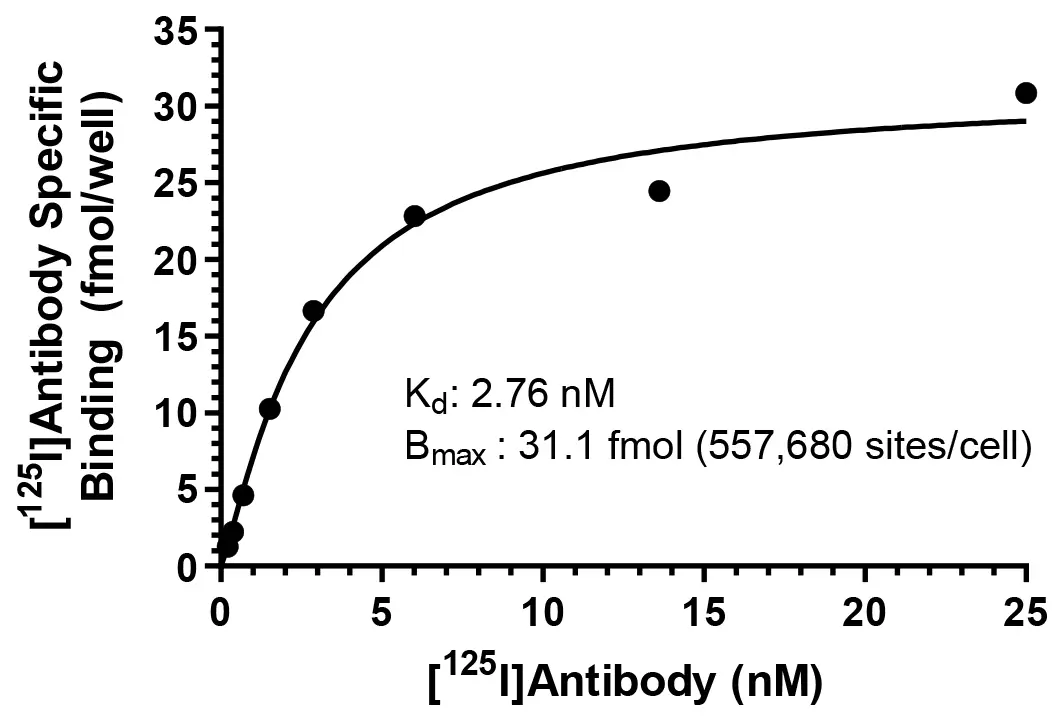 Radioligand-Binding-Antibody-Graphic Graph of saturation radioligand binding assay