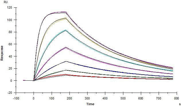 Picture2 SPR graph