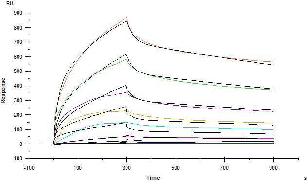 Picture3 SPR graph
