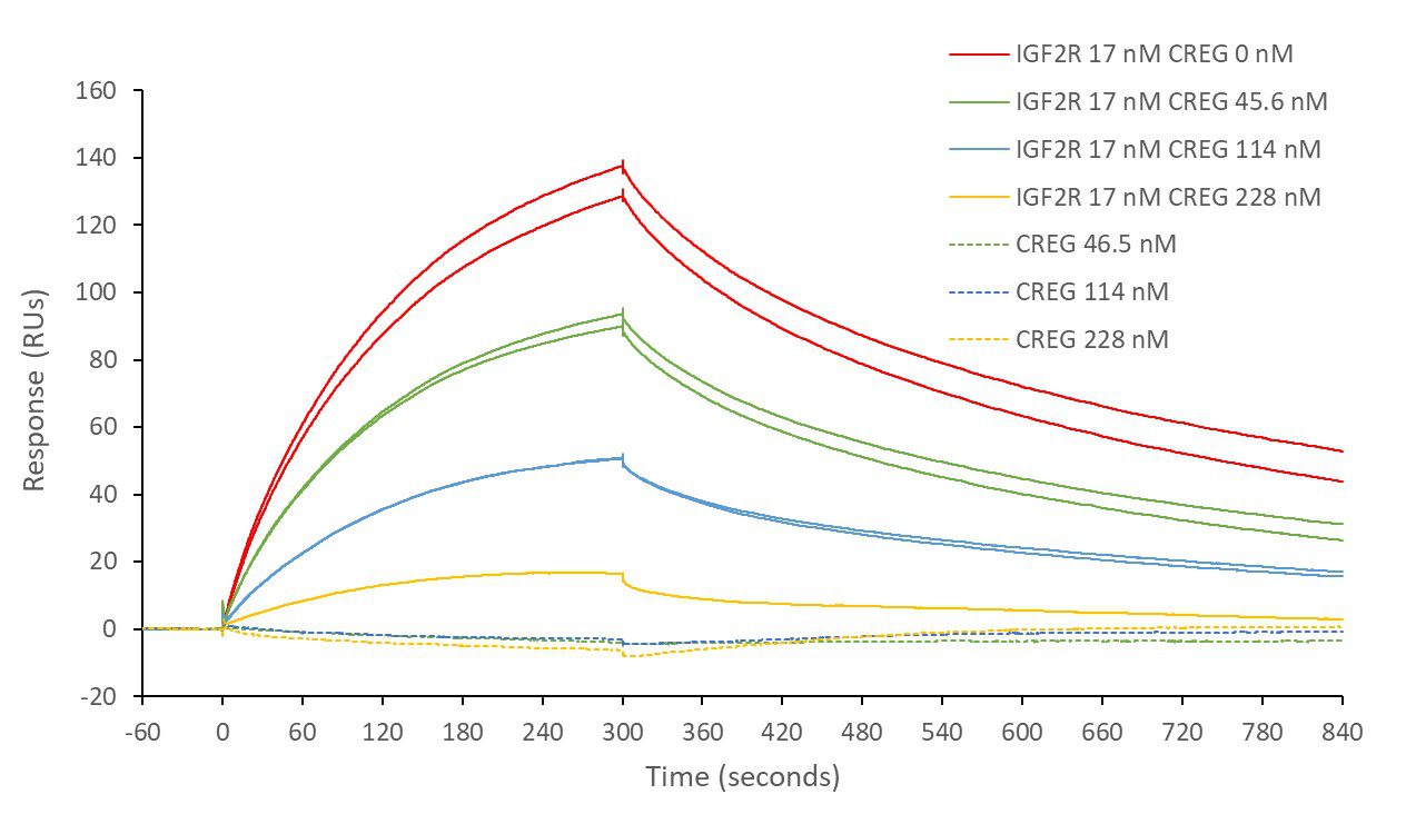 Picture4 SPR graph
