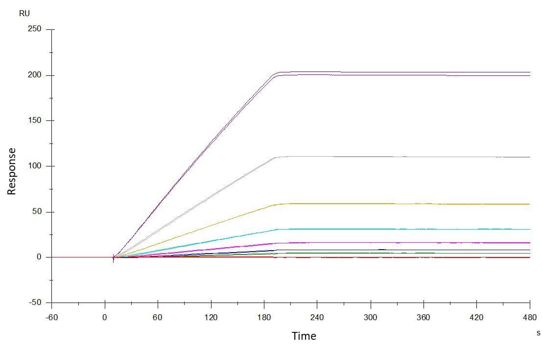 Picture5 SPR graph antibody antigen interactions