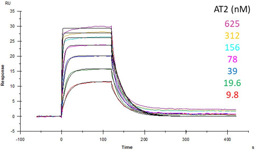 Picture7 SPR graph receptor ligand interactions