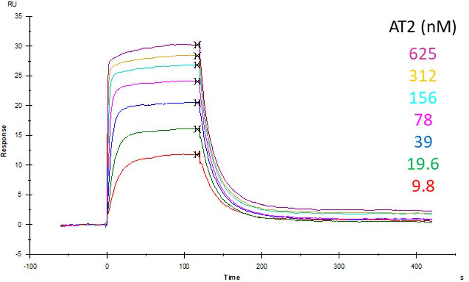 Picture8 SPR graph receptor ligand interactions
