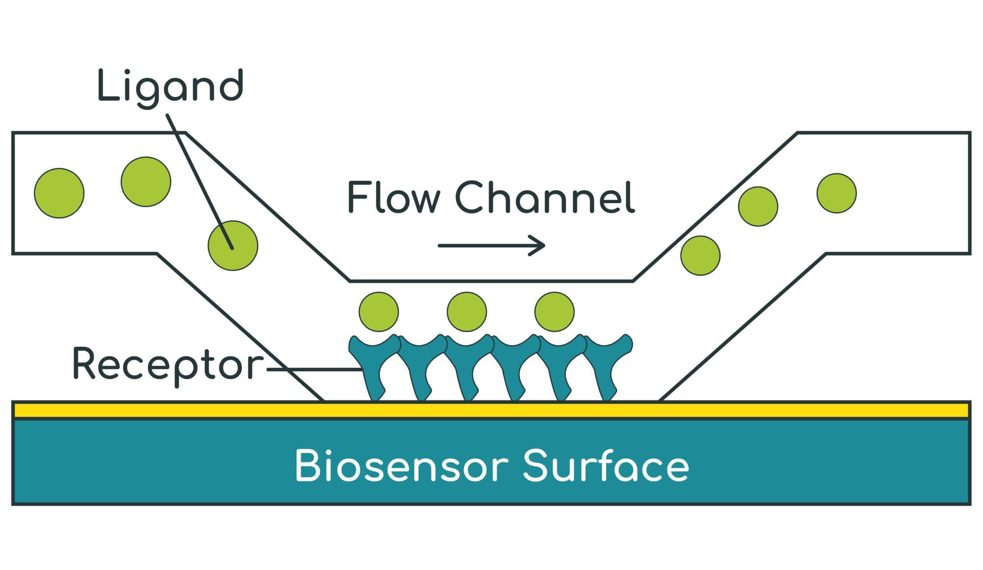 SPR Diagram Diagram demonstrating principal of surface plasmon resonance