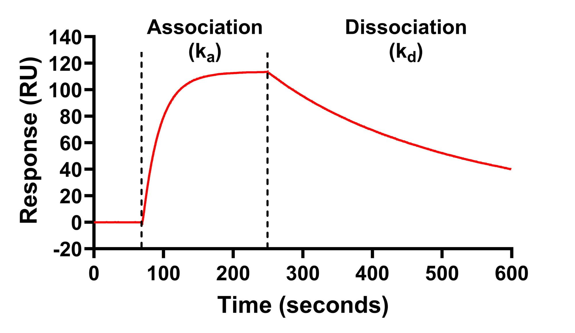 SPR trace for website Graph of association and dissociation in SPR