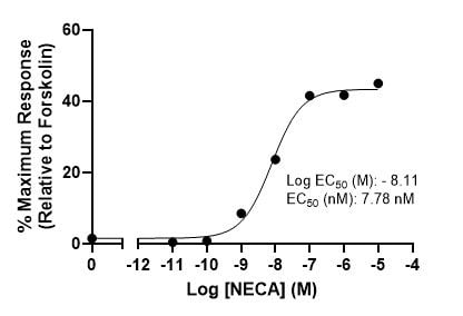 cAMP fig1 cAMP Agonist and Antagonist Assay Graph